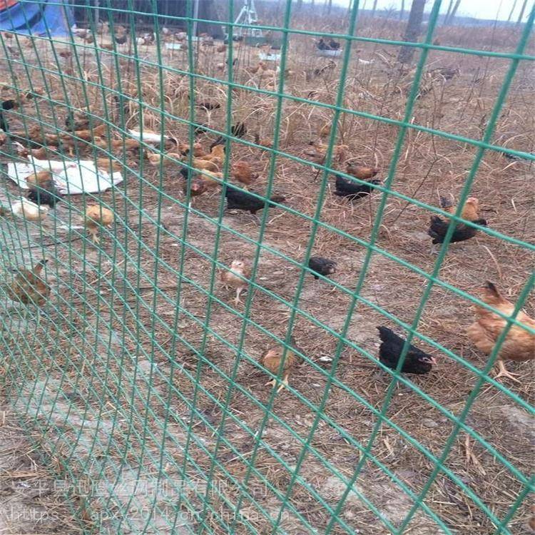 怀化养鸡棚浸塑围网与迅鹰波浪型家畜养殖网 坚固耐用的养殖防护首选